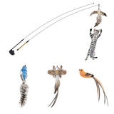 Cat Toy - Simulation Bird