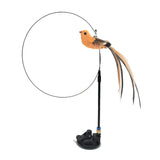 Cat Toy - Simulation Bird