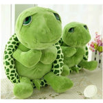 Big Eyes Turtle / SOLD OUT