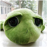 Big Eyes Turtle / SOLD OUT