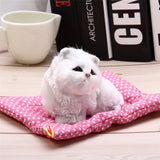 Mini Kitty with Sound / SOLD OUT