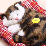 Mini Kitty with Sound / SOLD OUT