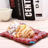 Mini Kitty with Sound / SOLD OUT